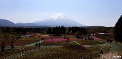 隨手拍