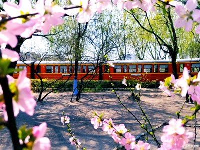 【人間四月天】+來往春天的列車