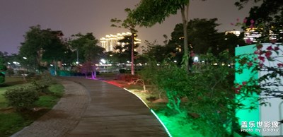 公園夜景