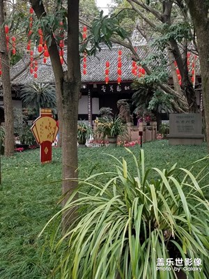【中國(guó)最美瞬間】+杜甫草堂
