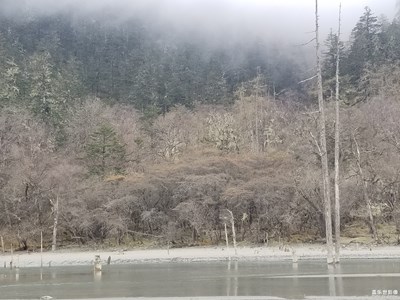 高原