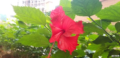 5月，你好