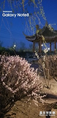 最美
