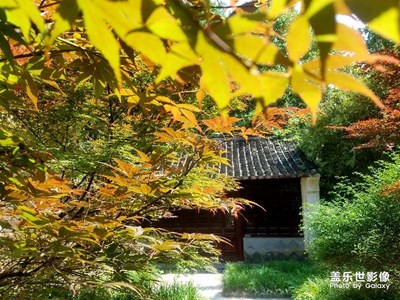 【中國最美瞬間】+春意央然