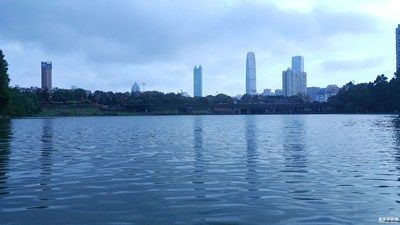 【中國(guó)最美瞬間】+深圳洪湖公園