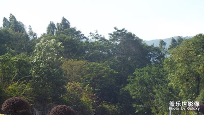 【中國最美瞬間】+羊臺山（1）