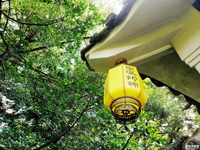 【中國最美瞬間】+匠心，再與每一個細(xì)節(jié)都精心設(shè)計