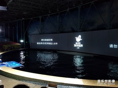 長風公園白鯨館表演