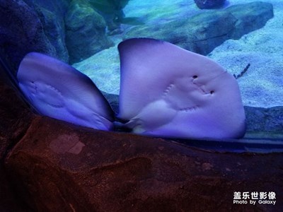 海族館