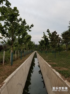 黃昏跑步隨拍