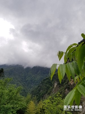 風(fēng)景