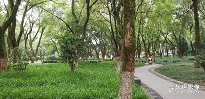 每次買了新三星手機就去拍照，從note3拍到note8了同一個公園