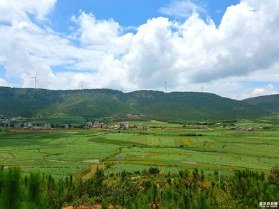 綠色大地