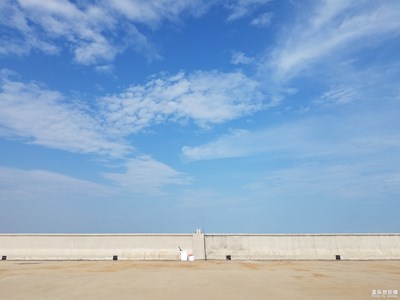 隨釣