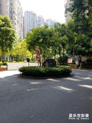 風(fēng)景
