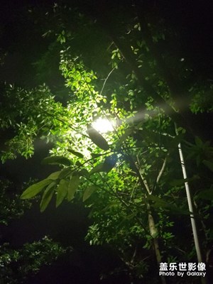 喜歡這樣的燈光