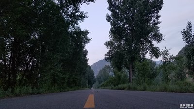 隨拍