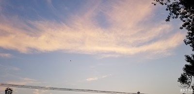 隨拍