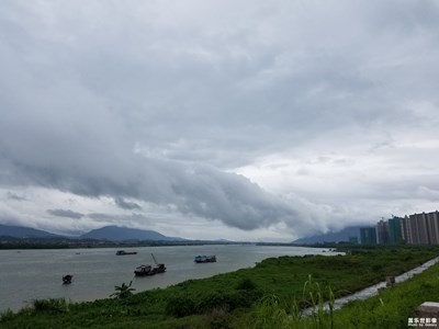 風(fēng)雨欲來
