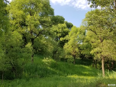 【回憶】+山水風光
