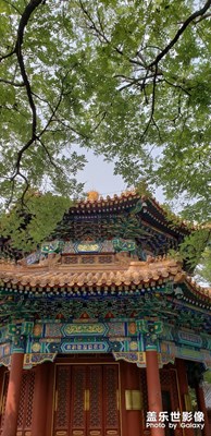 雍和宮