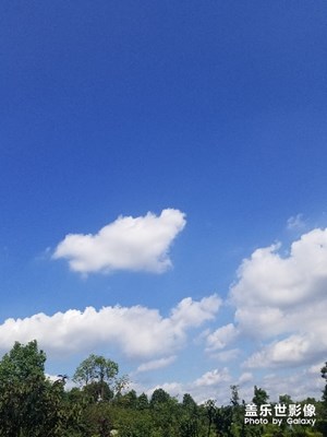 風(fēng)景