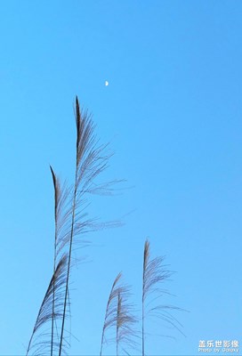 一處光陰，一種生活