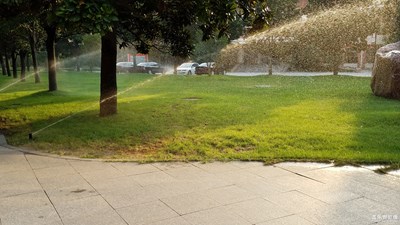 夏至已至