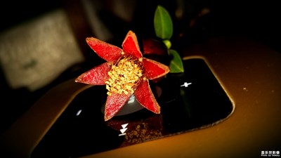 石榴紅一枚
