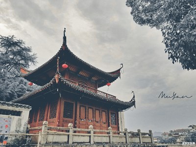 隨手拍(8)