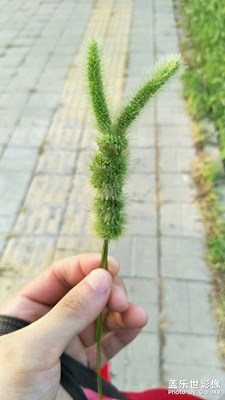 隨拍