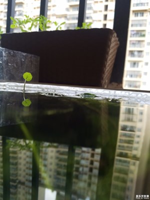 水下拍攝