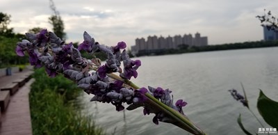 最美的時光