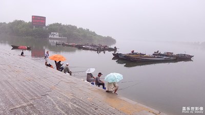 垂釣