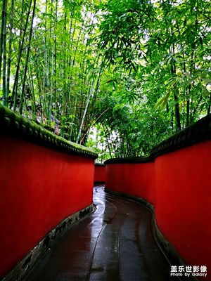 醉美四川！