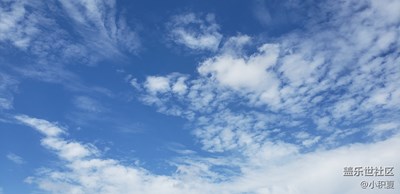 隨手一拍
