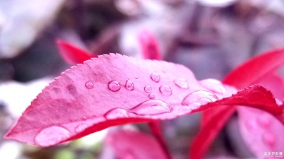 雨露均沾