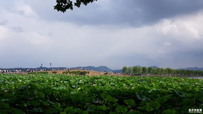 Note Fe隨手拍