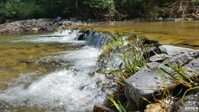 逃離都市 回歸大自然  有山 有水 有風(fēng)光。