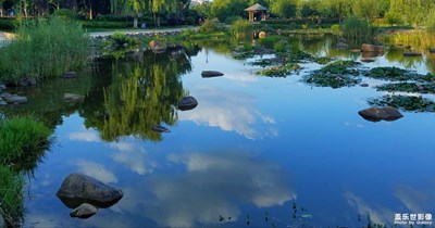 【“醉美”公園】＋馬龍水景公園