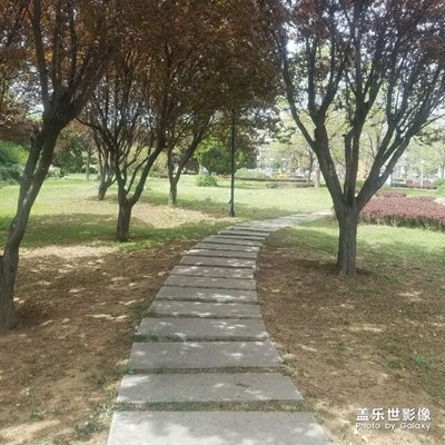 【“醉美”公園】+孔子廣場公園