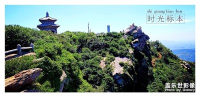 時(shí)光標(biāo)本