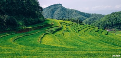 上堡上堡，高山之上水淼淼——江西崇義