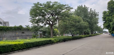 陪伴