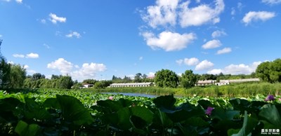【定格美好】+走進滿族村（1）