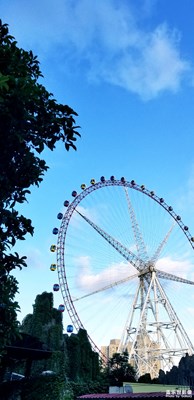 今日上海，不溫不燥~