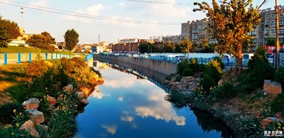 隨拍街景