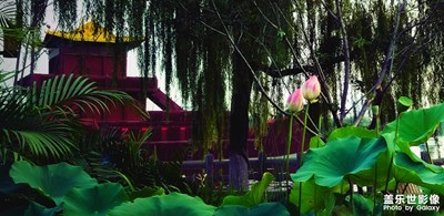 醉美公園
