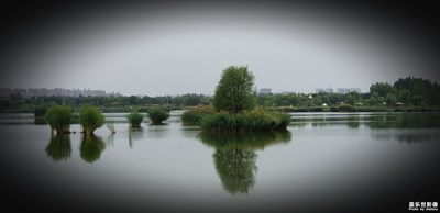 彩色南湖濕地