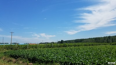 【簡單生活】+簡單的生活方式